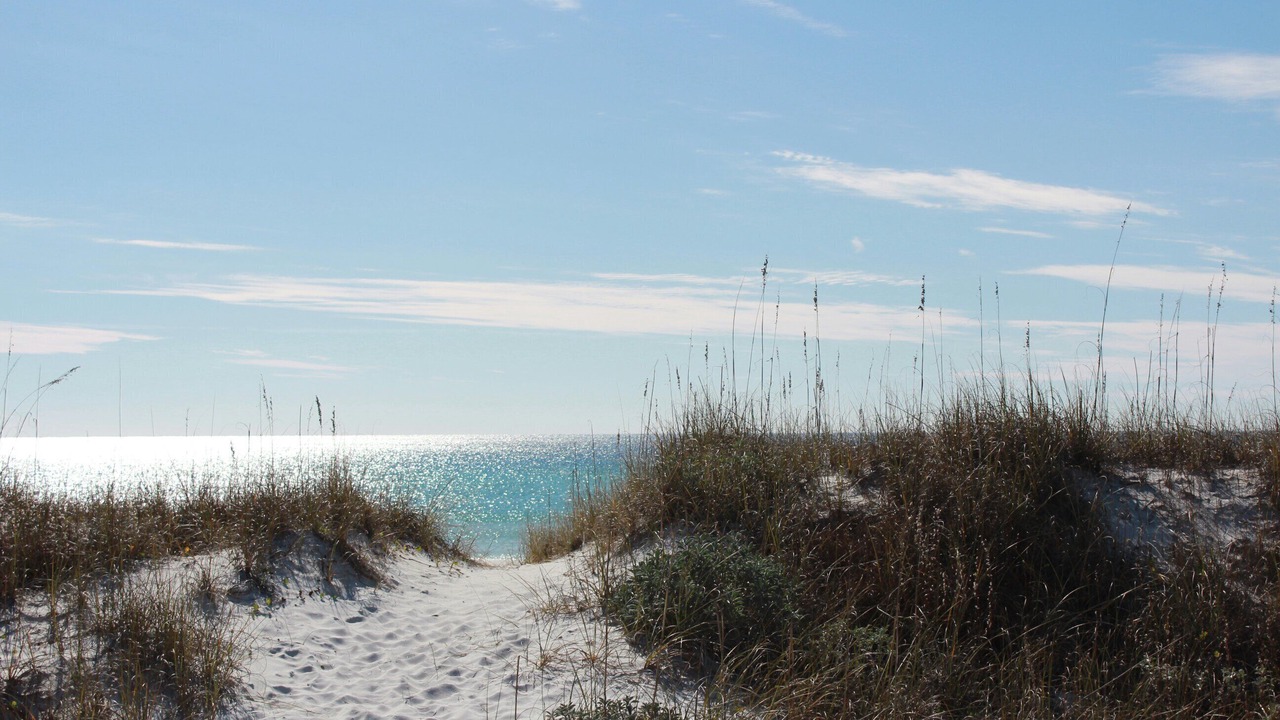 Photo of Others in Sunnyside On The Gulf