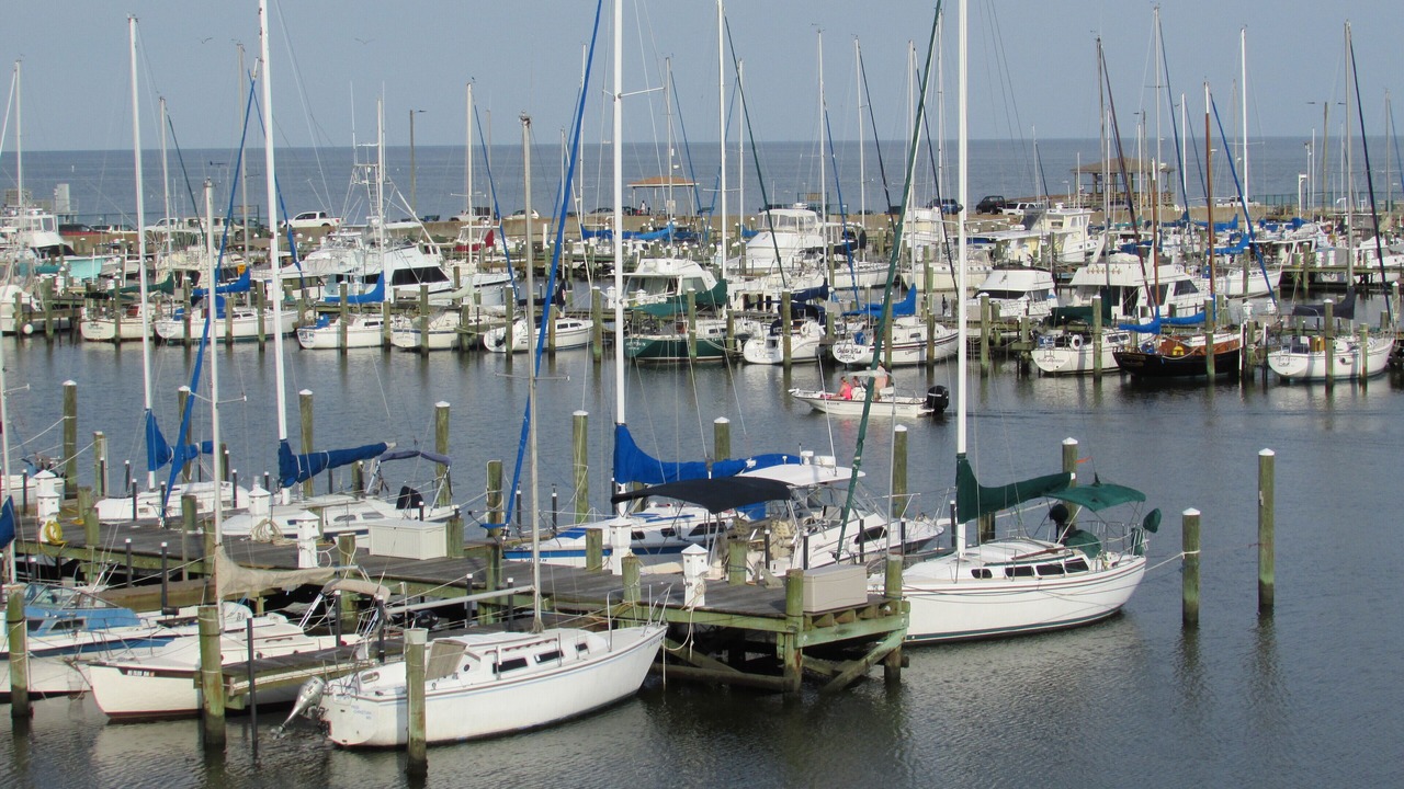 Photo of Others in Long Beach