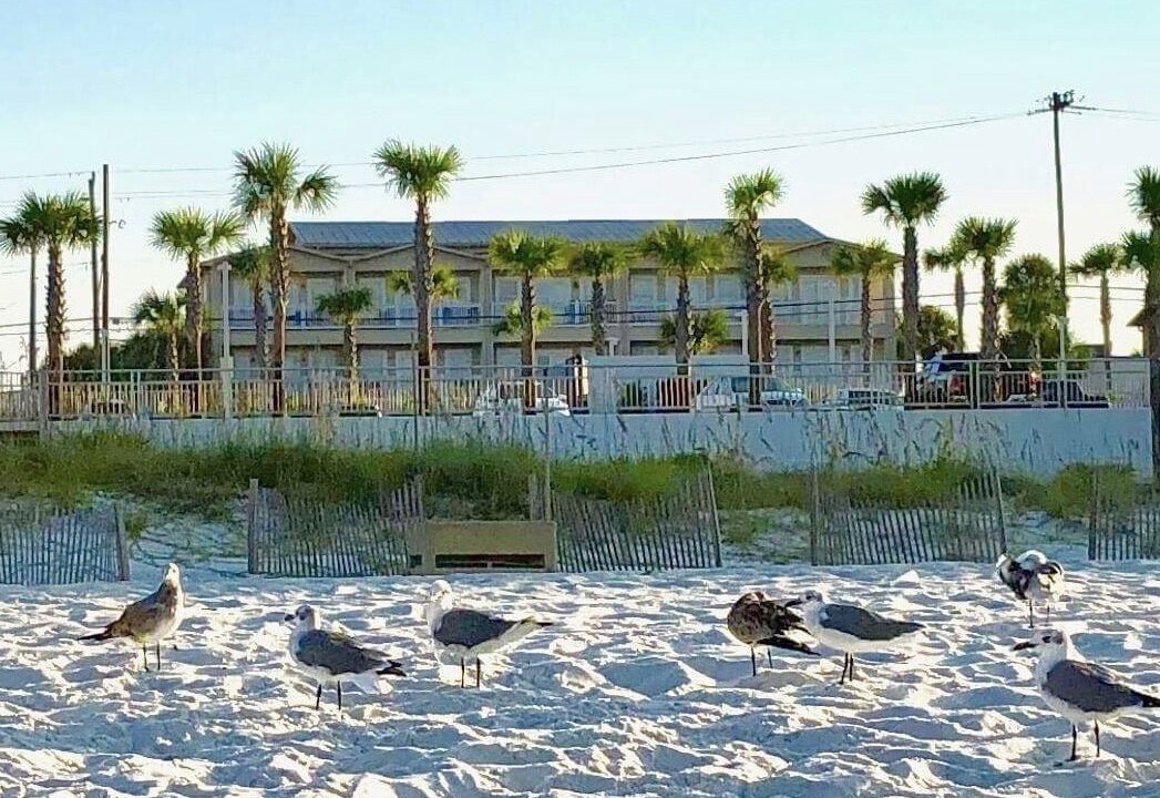 Photo of Others in Bahama Beach