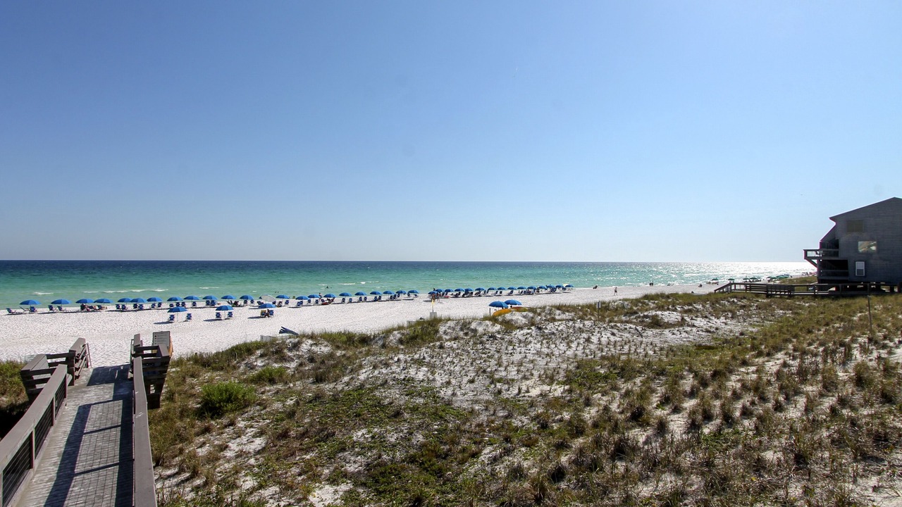 Photo of Others in Miramar Beach