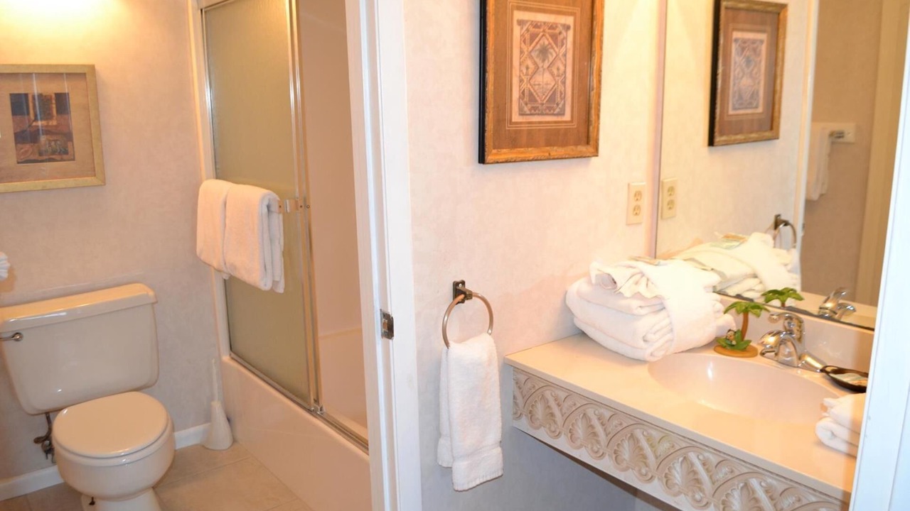 Photo of Bathroom in Gulf Lagoon Beach