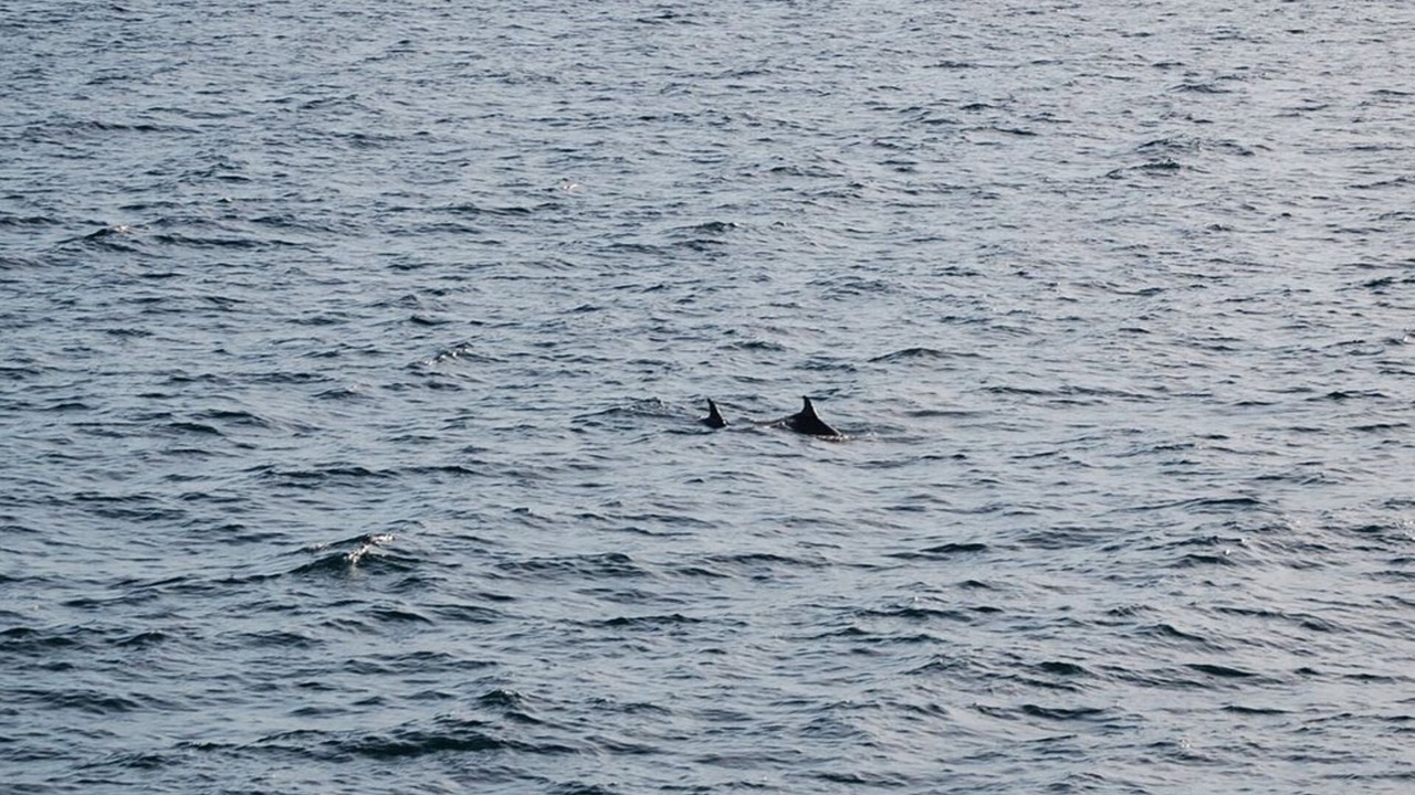 Photo of Others in Riviera Beach