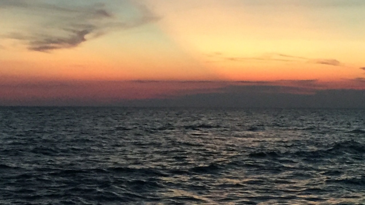 Photo of Others in Riviera Beach