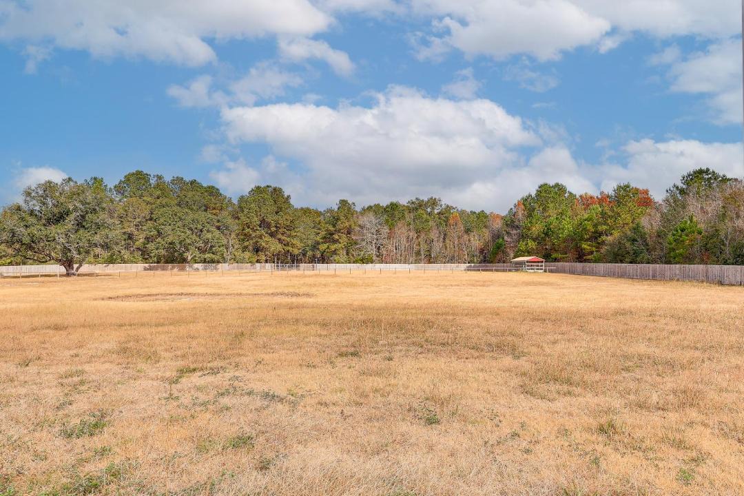 Photo of Others in Satsuma