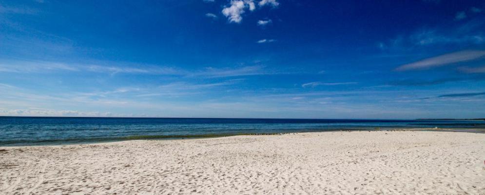 Photo of Others in Mexico Beach