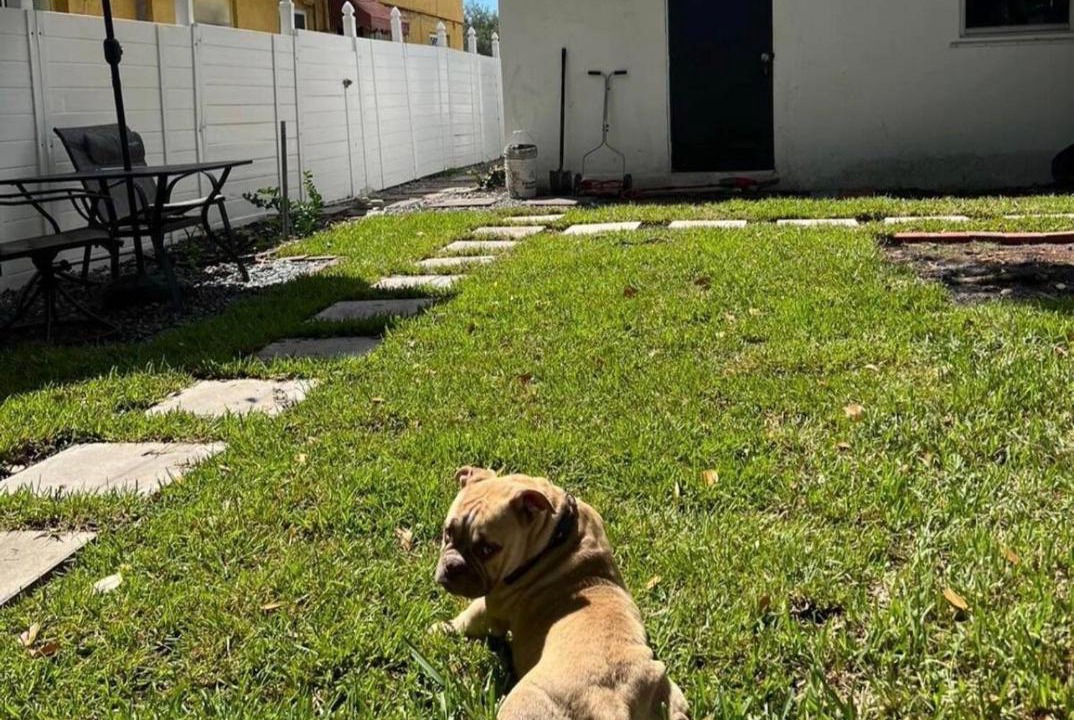 Photo of Others in Downtown Fort Lauderdale