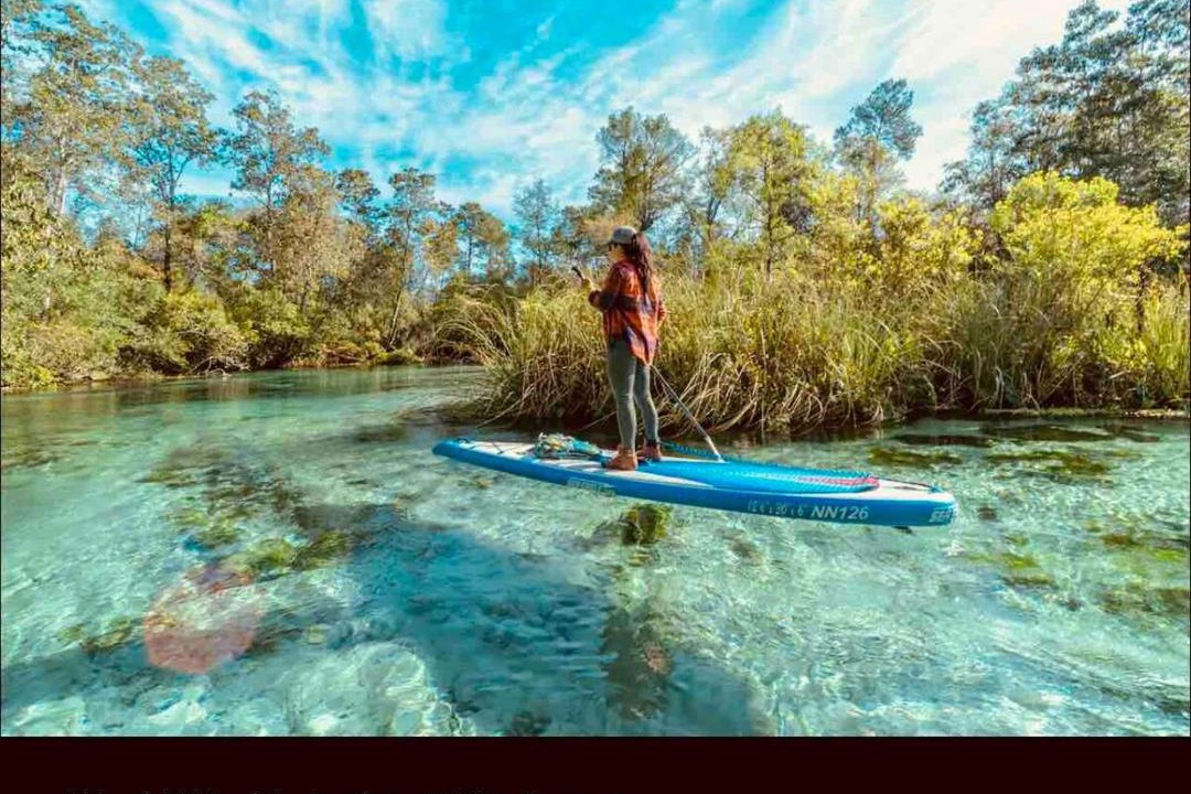 Photo of Others in Port Richey