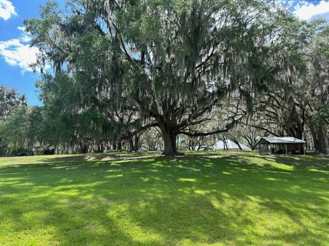 Photo of Others in Alachua