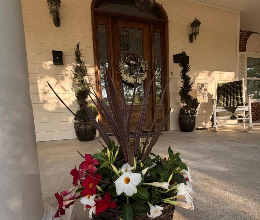 Photo of Others in Natchitoches