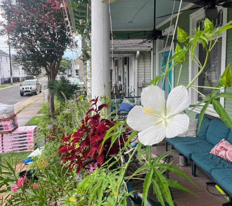 Photo of Others in Mid-City