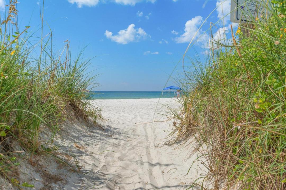 Photo of Others in El Centro Beach