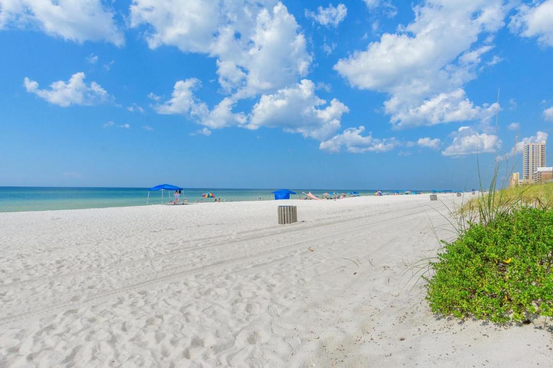 Photo of Others in El Centro Beach