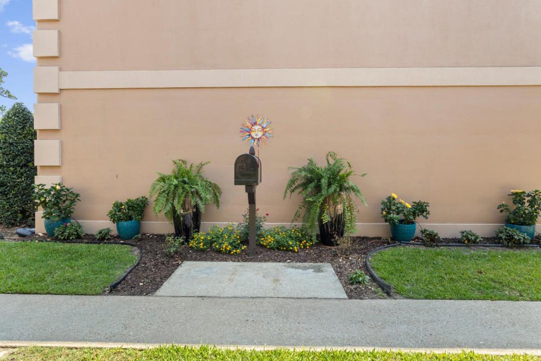 Photo of Others in D'Iberville