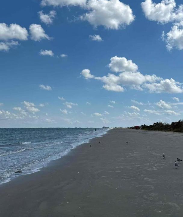 Photo of Others in Texas City