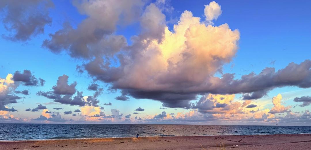 Photo of Others in Port Charlotte