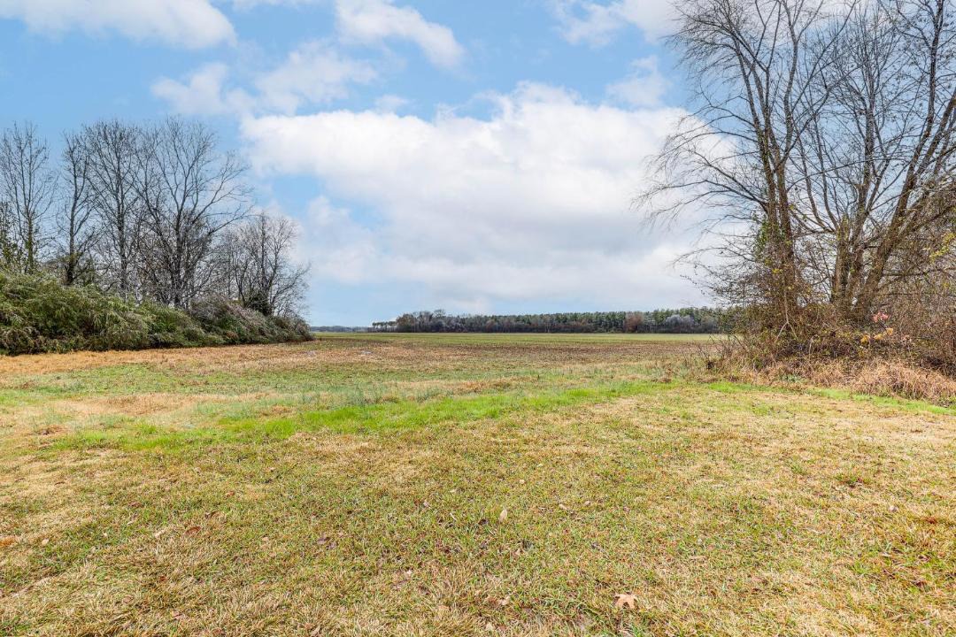 Photo of Others in Hickory Plains