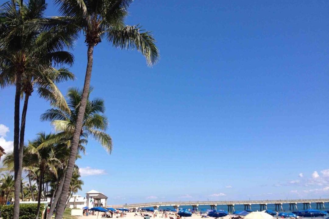 Photo of Others in Pompano Beach