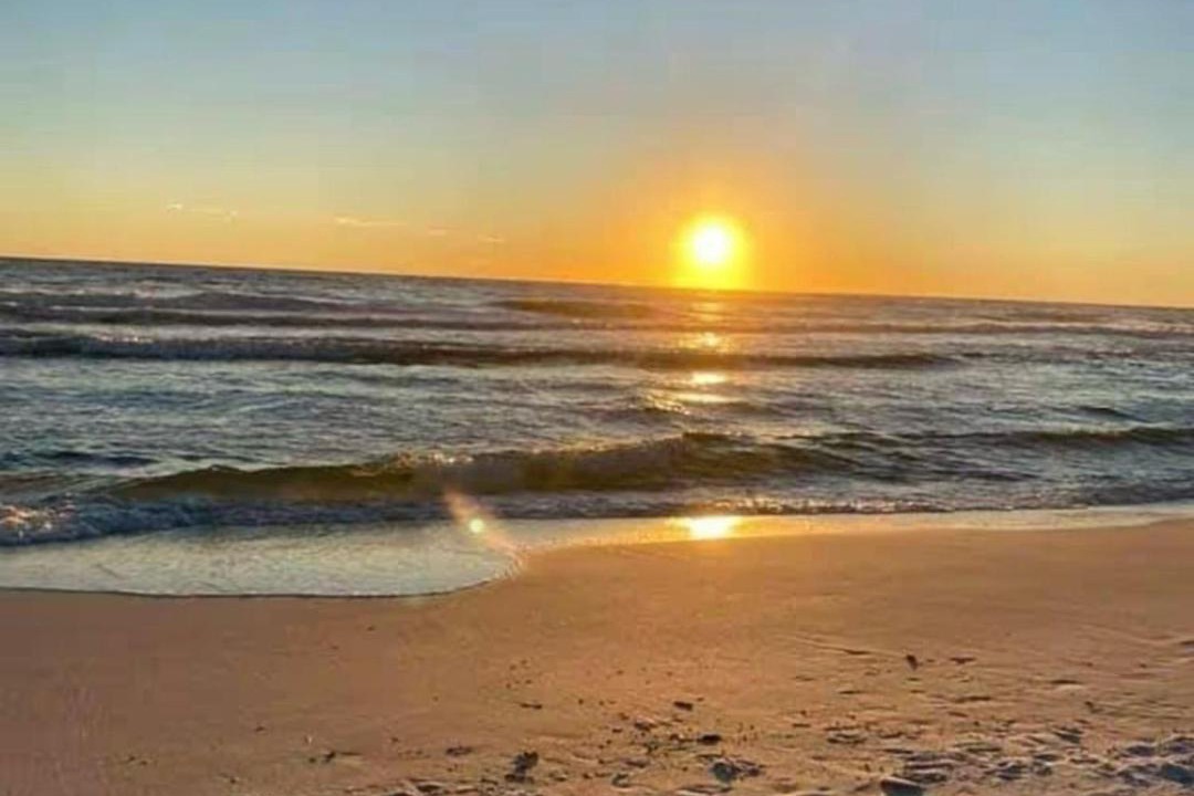 Photo of Others in Dune Allen Beach