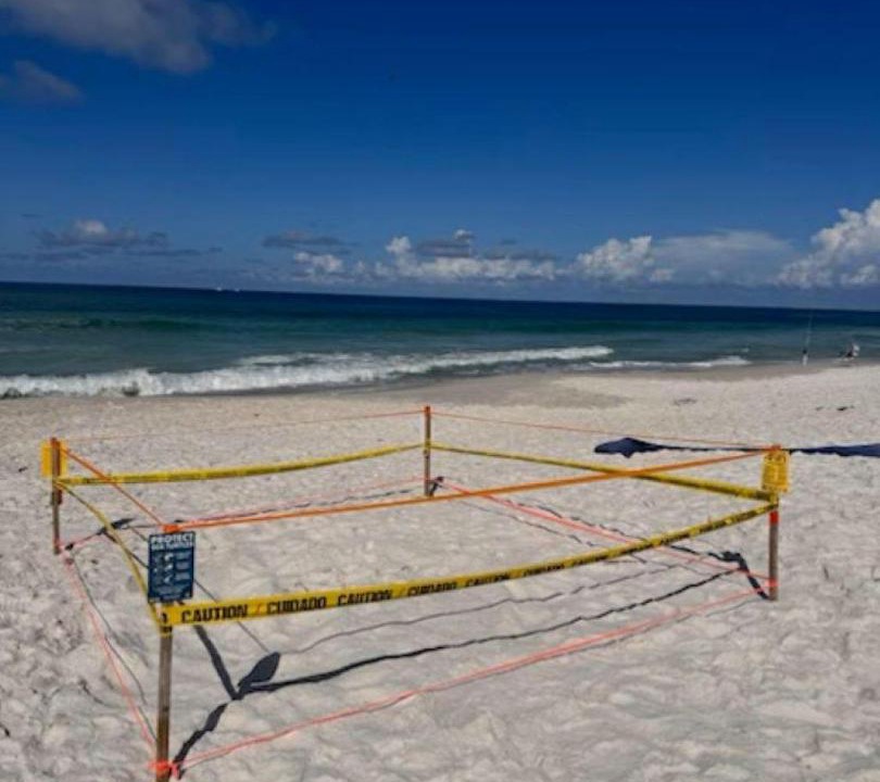 Photo of Others in Biltmore Beach