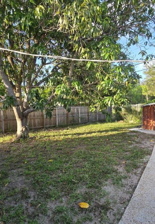 Photo of Outdoor in Naples