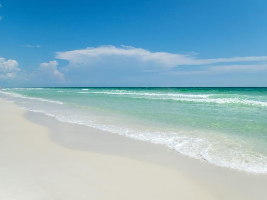 Photo of Others in Panama City Beach