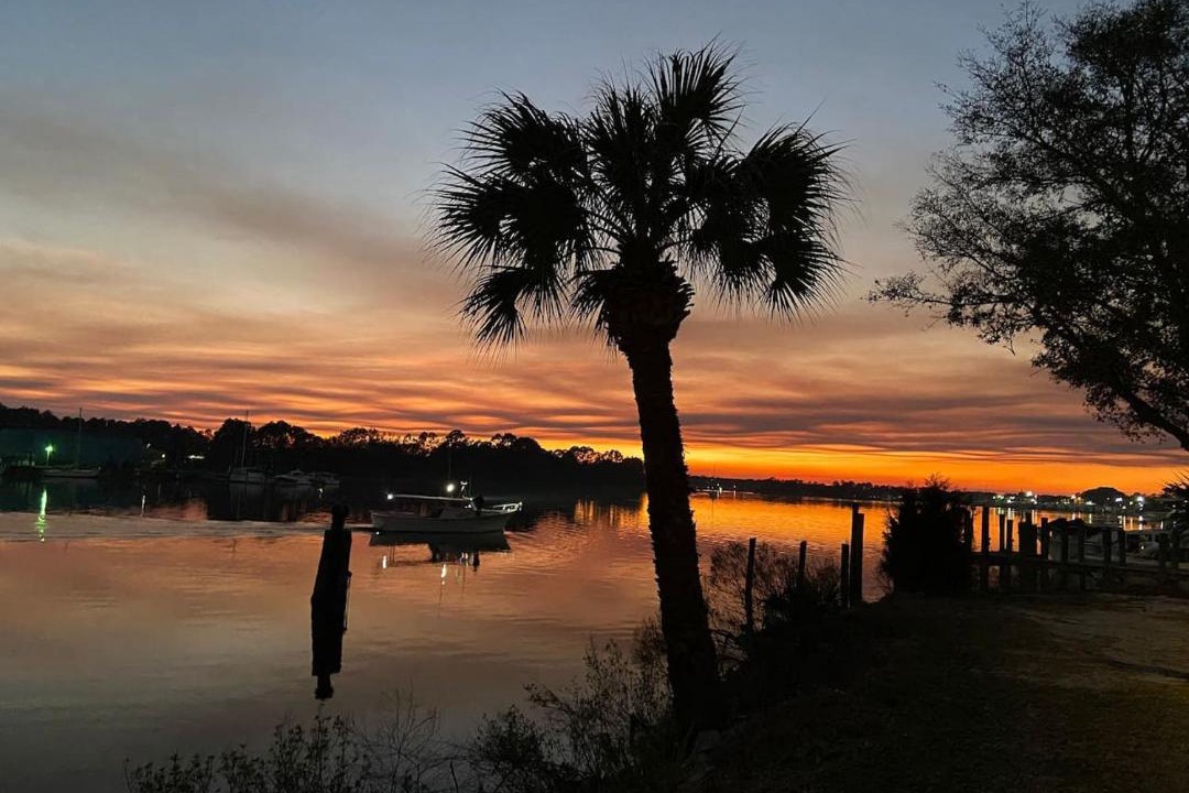 Photo of Others in Carrabelle