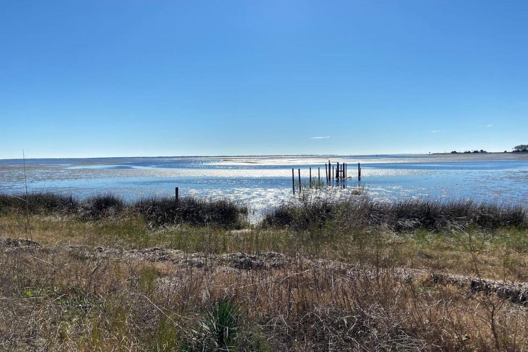 Photo of Others in Carrabelle