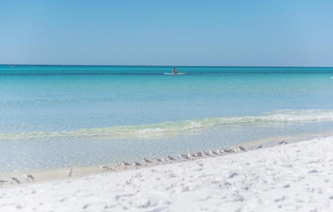 Photo of Others in Gulf Place