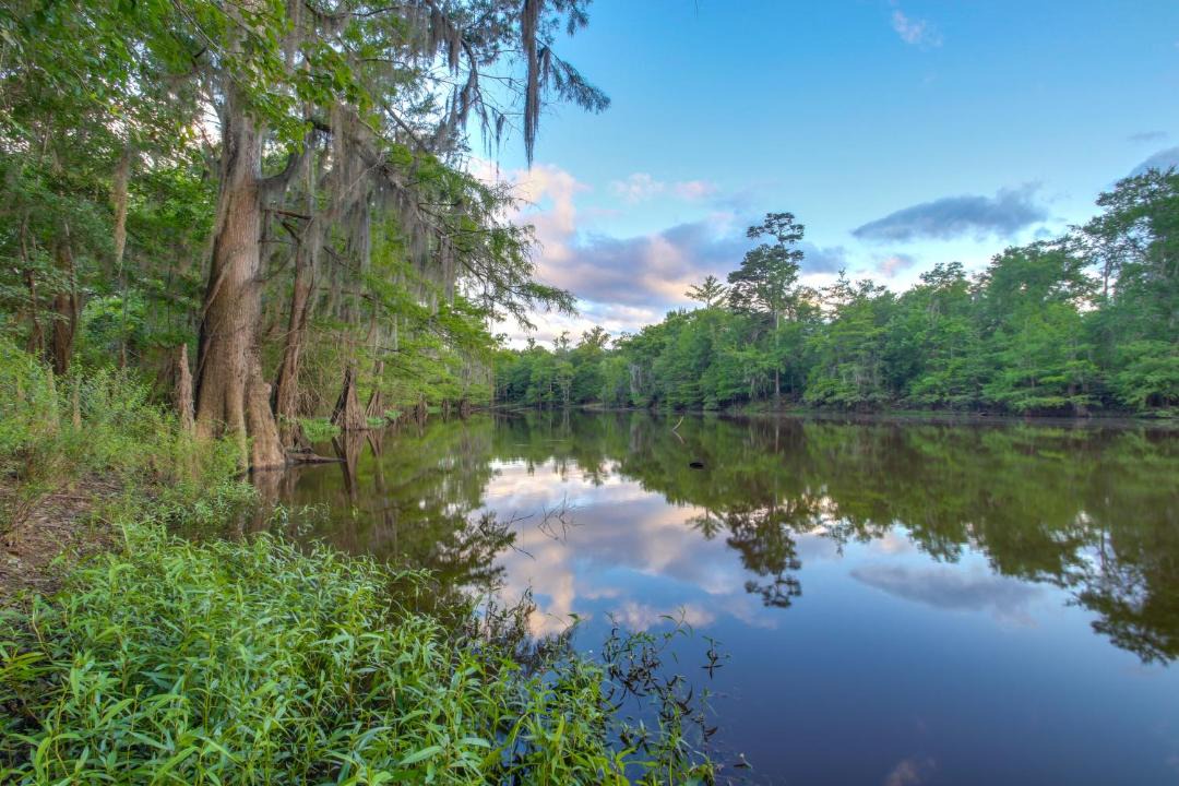 Photo of Others in Santa Rosa County