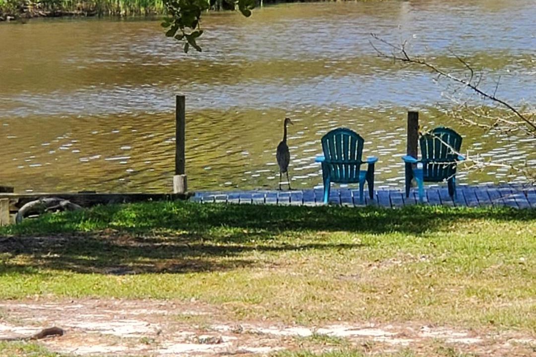 Photo of Others in Gautier