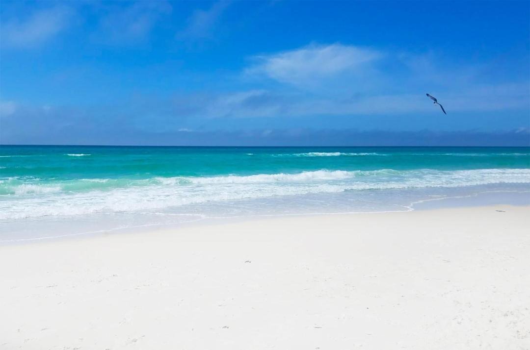 Photo of Others in Holiday Beach