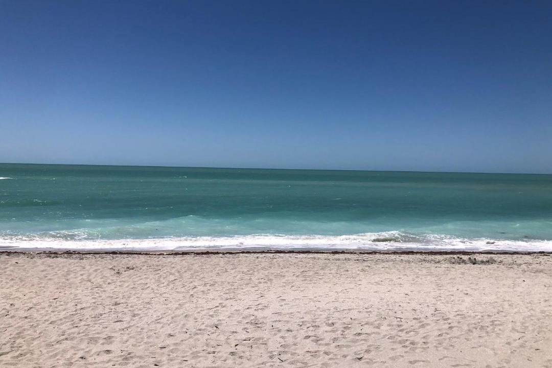Photo of Others in Port Charlotte
