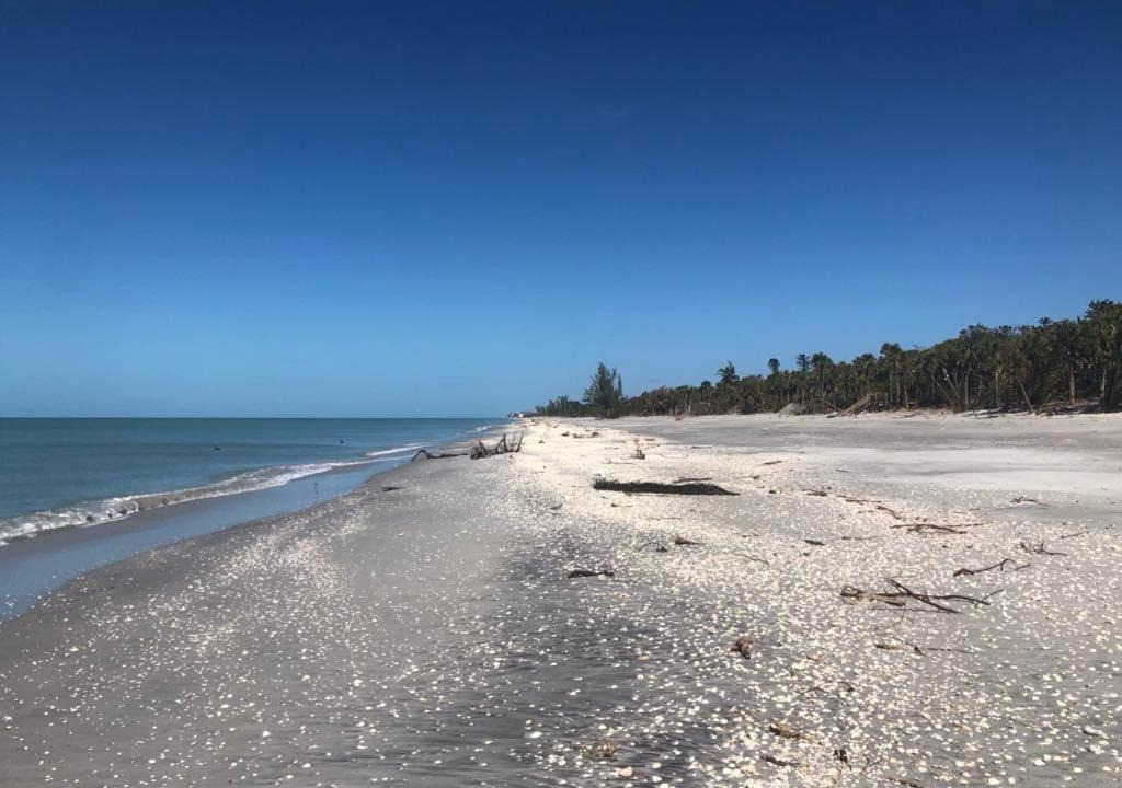 Photo of Others in Port Charlotte