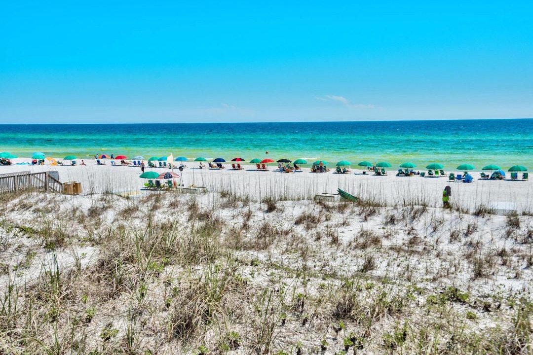 Photo of Others in Miramar Beach