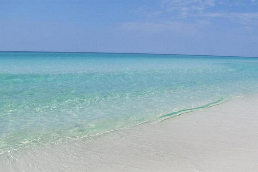 Photo of Others in Miramar Beach