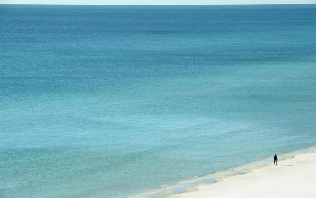 Photo of Human In Picture in Miramar Beach