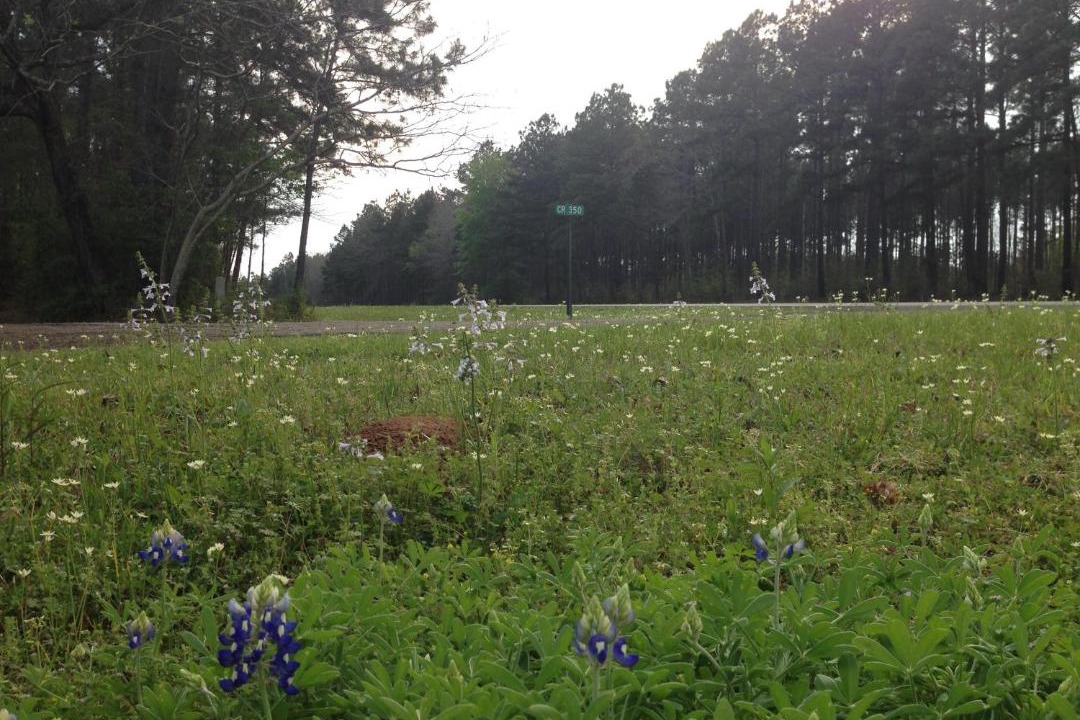 Photo of Outdoor in Broaddus