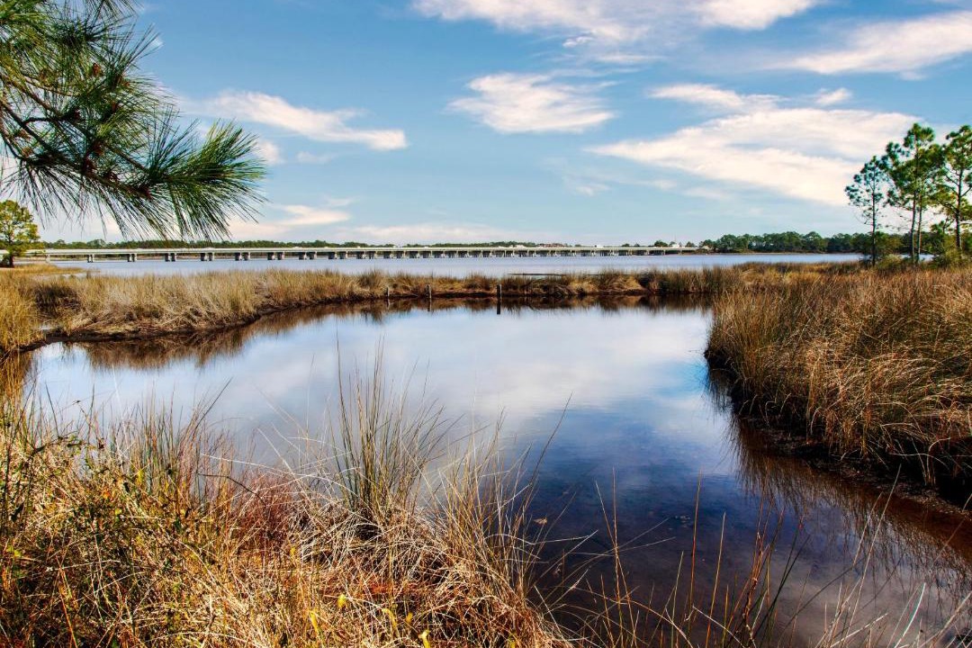 Photo of Others in Upper Grand Lagoon