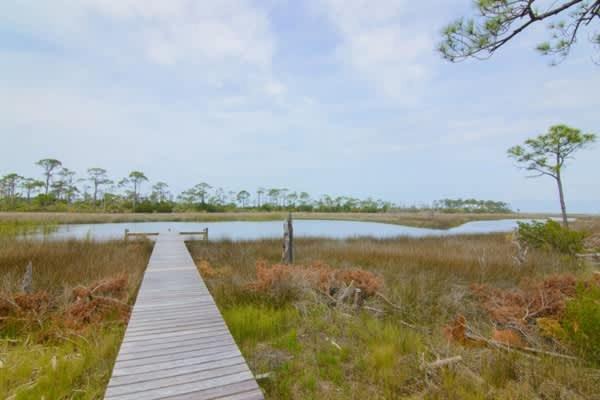 Photo of Others in Plantation
