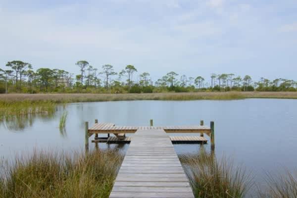 Photo of Others in Plantation
