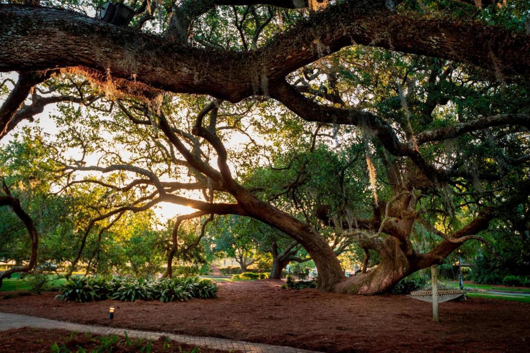 Photo of Others in Fairhope