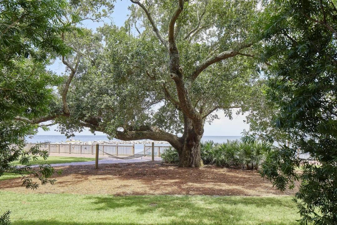 Photo of Others in Fairhope