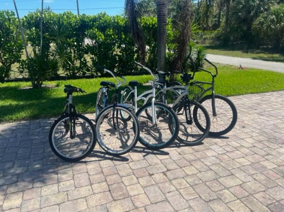 Photo of Others in Palm River Estates