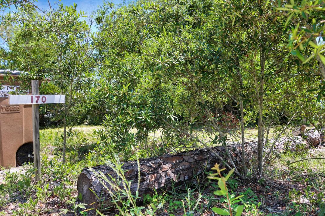Photo of Outdoor in Indian Pass