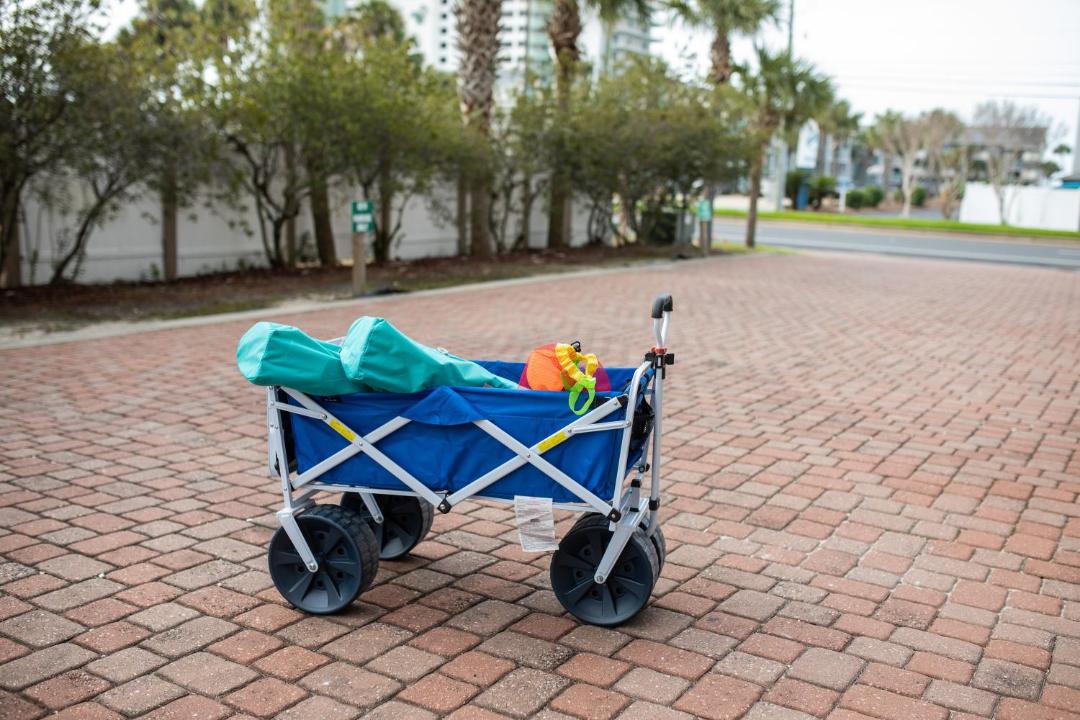 Photo of Others in Crescent Beach