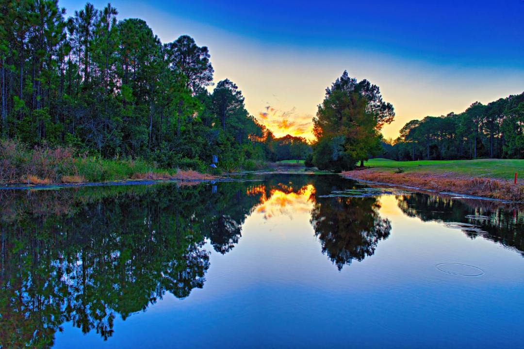 Photo of Others in Carrabelle