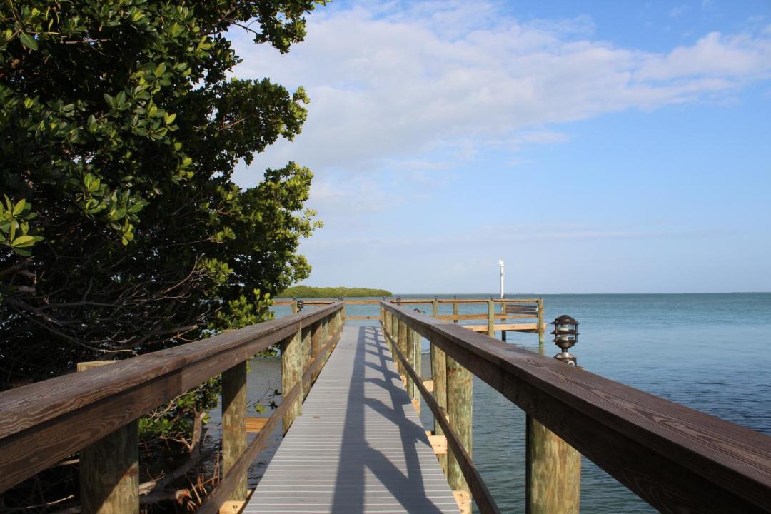 Photo of Others in Big Pine Key