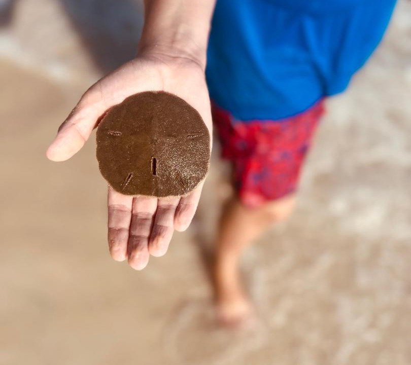 Photo of Others in Laguna Beach