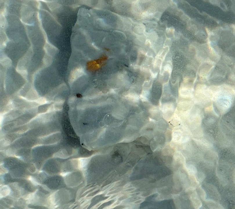 Photo of Others in Santa Rosa Beach
