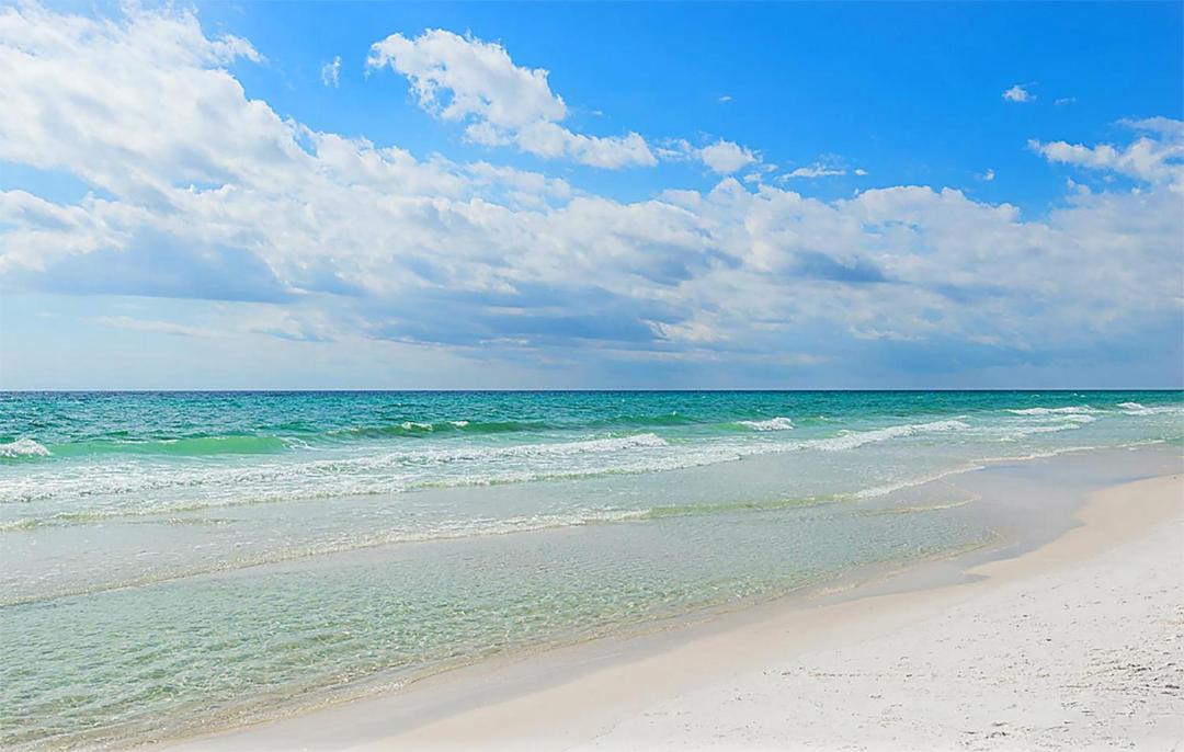 Photo of Others in Dune Allen Beach
